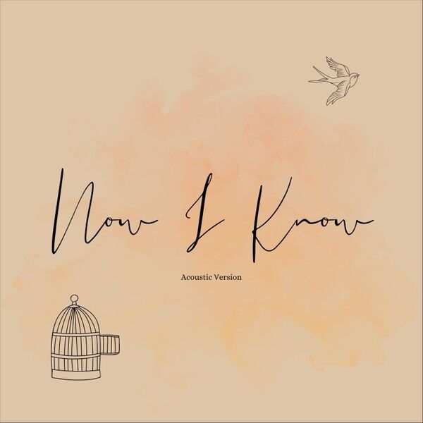 Cover art for Now I Know (Acoustic Version)